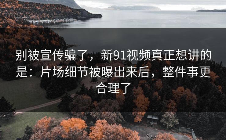 别被宣传骗了，新91视频真正想讲的是：片场细节被曝出来后，整件事更合理了
